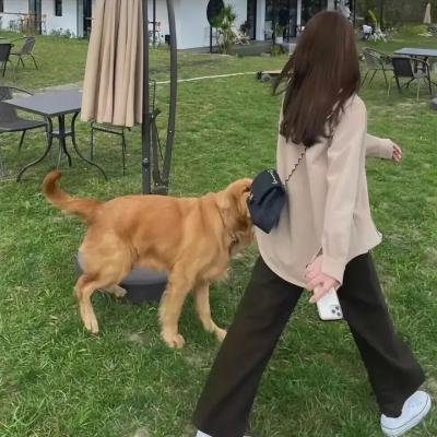 赌命为王